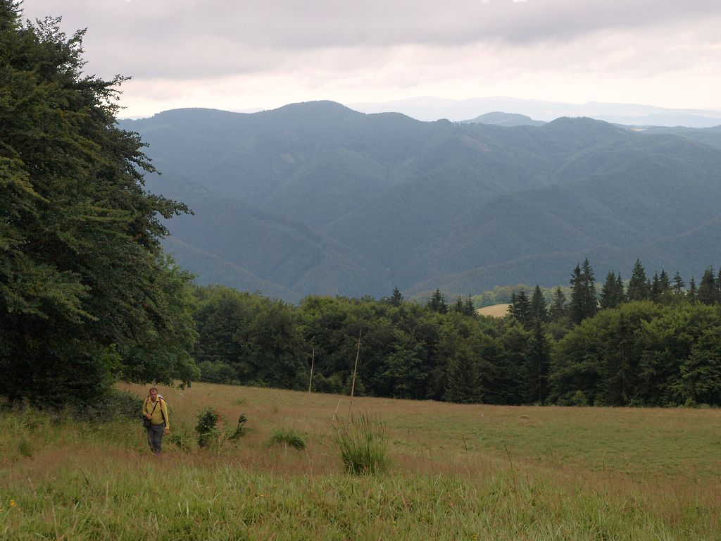 img00001.jpg