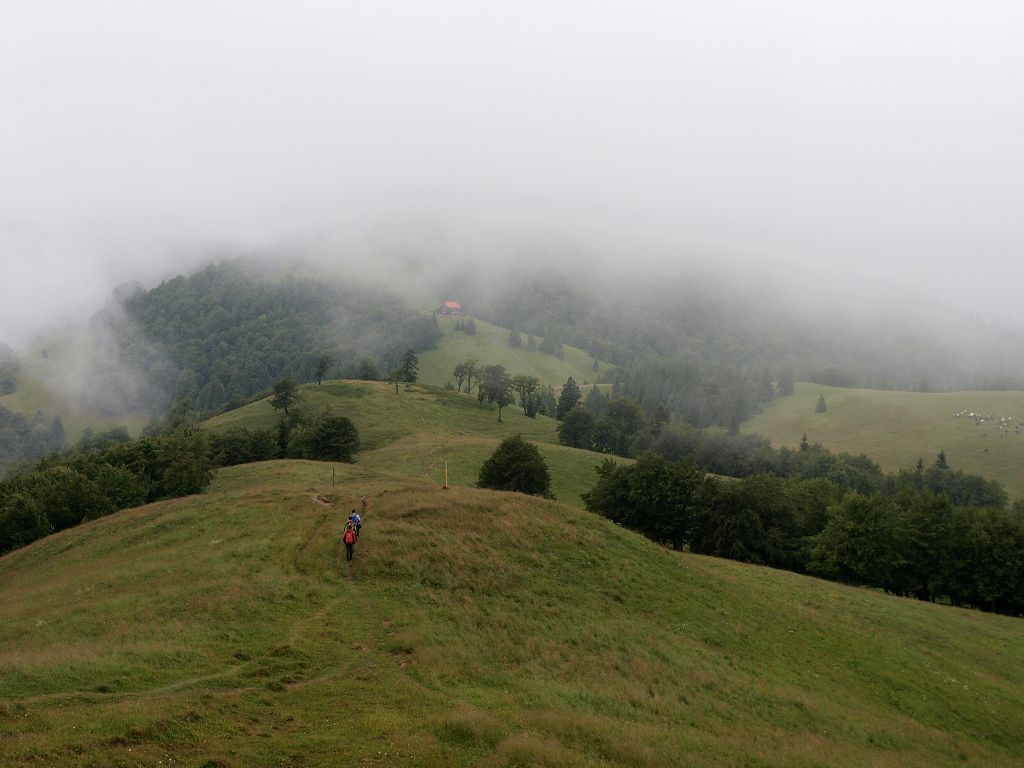img00003.jpg