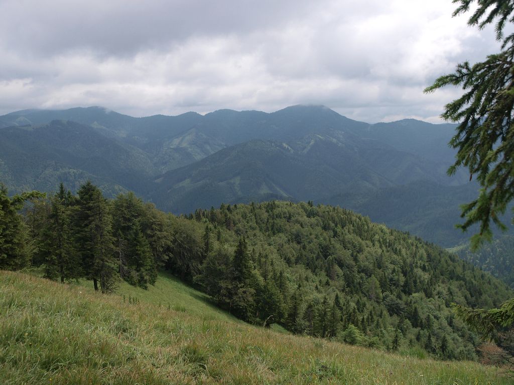 img00008.jpg