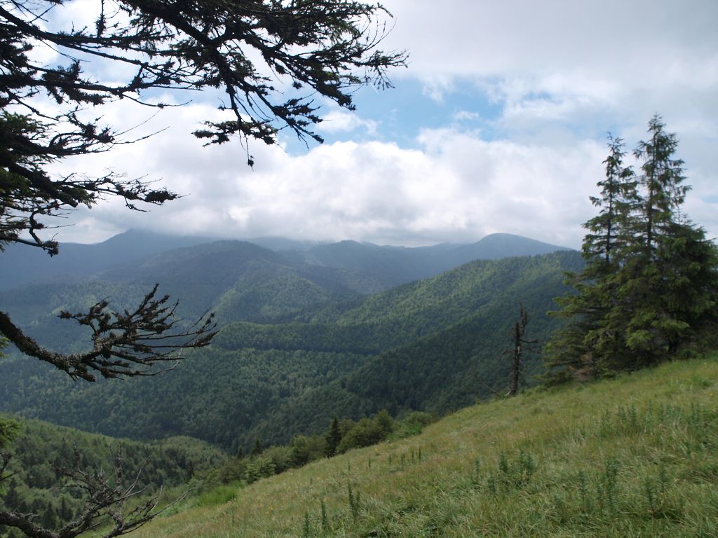 img00009.jpg