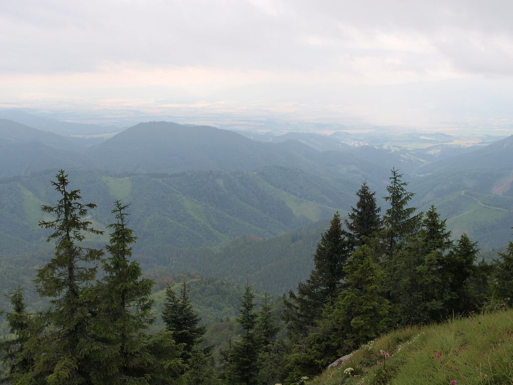 img00016.jpg