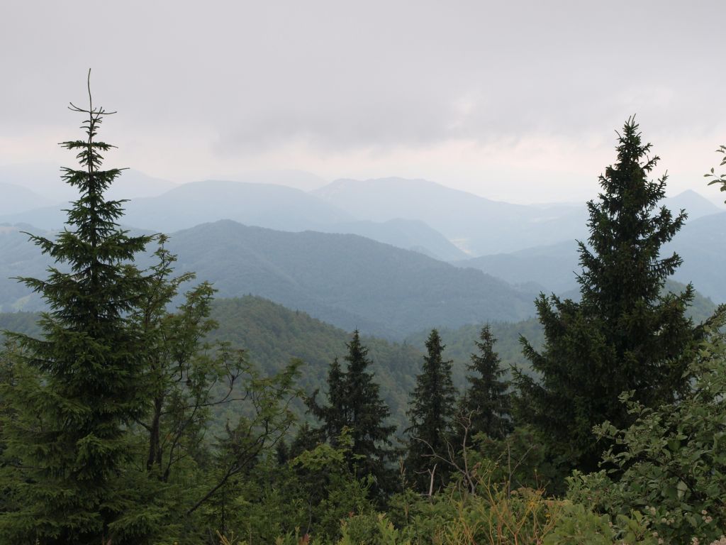 img00018.jpg