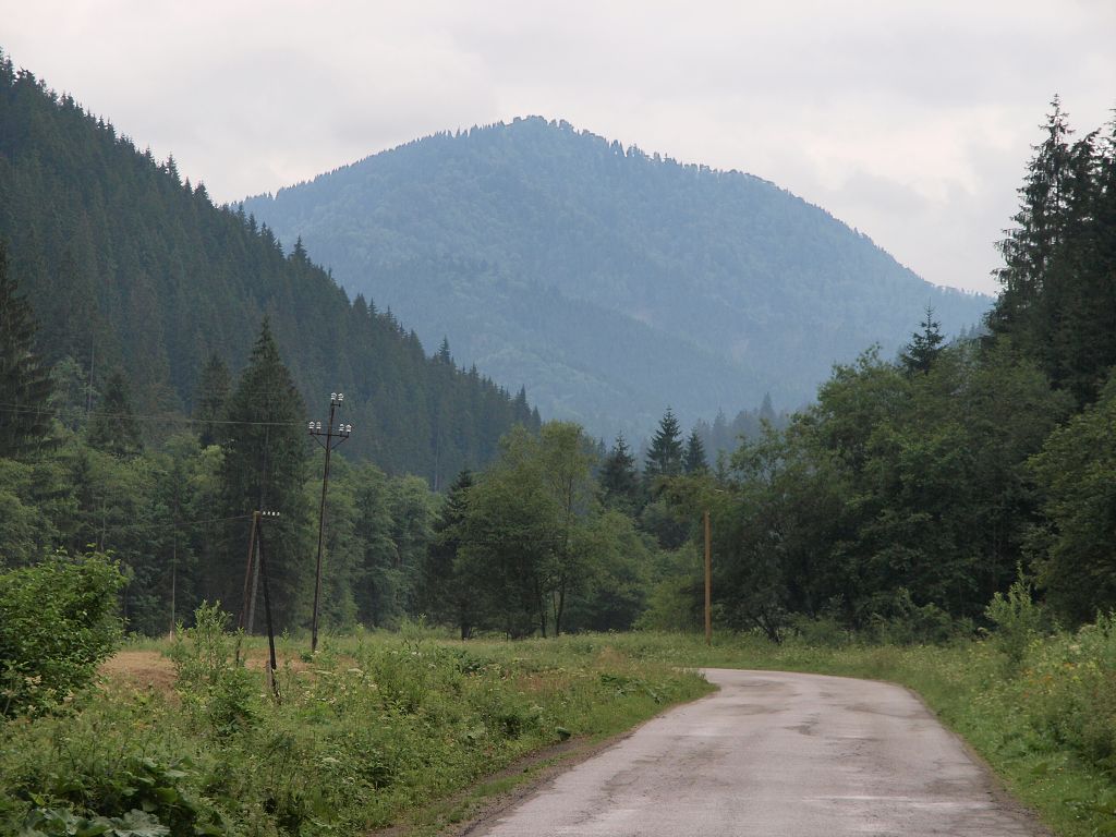 img00024.jpg