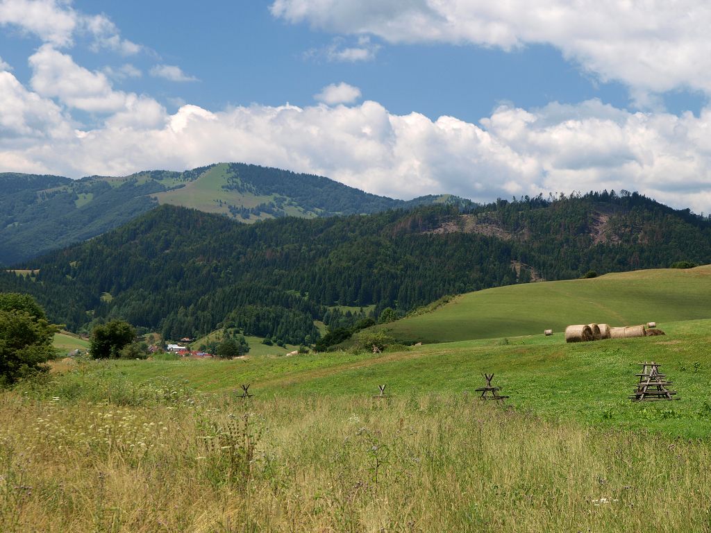 img00003.jpg