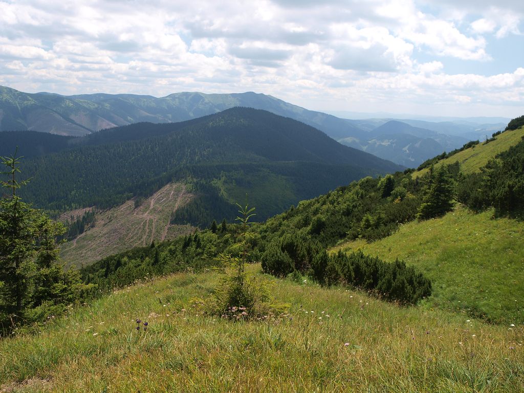 img00007.jpg