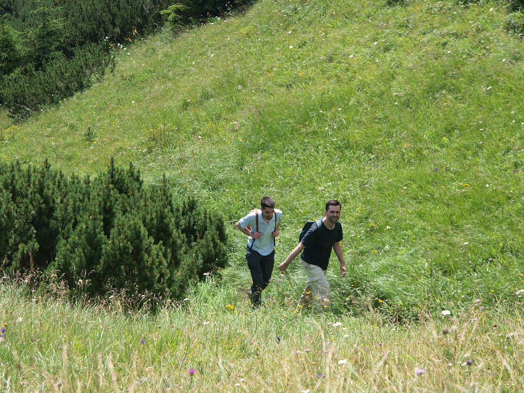 img00009.jpg