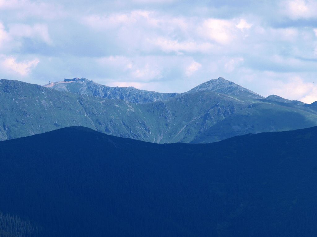 img00011.jpg