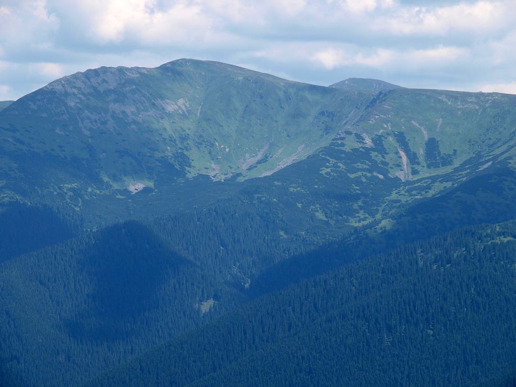 img00012.jpg