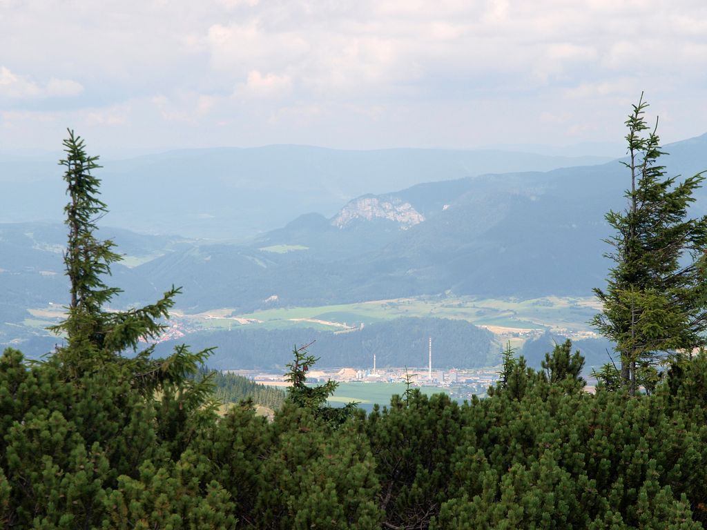 img00013.jpg