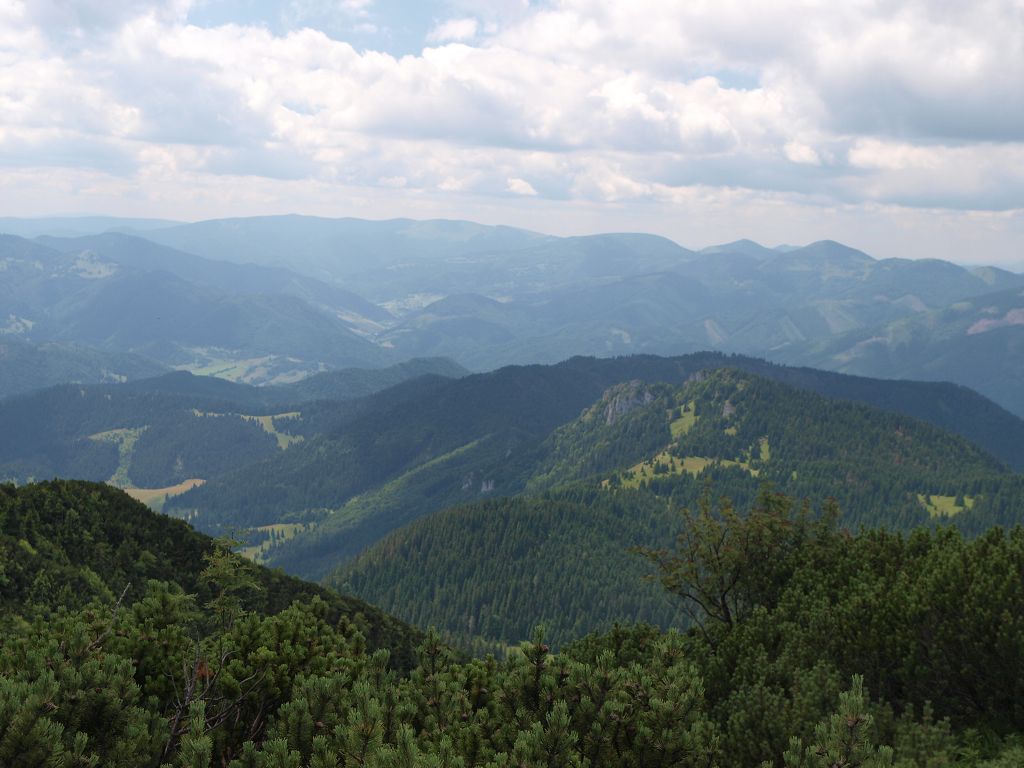 img00014.jpg
