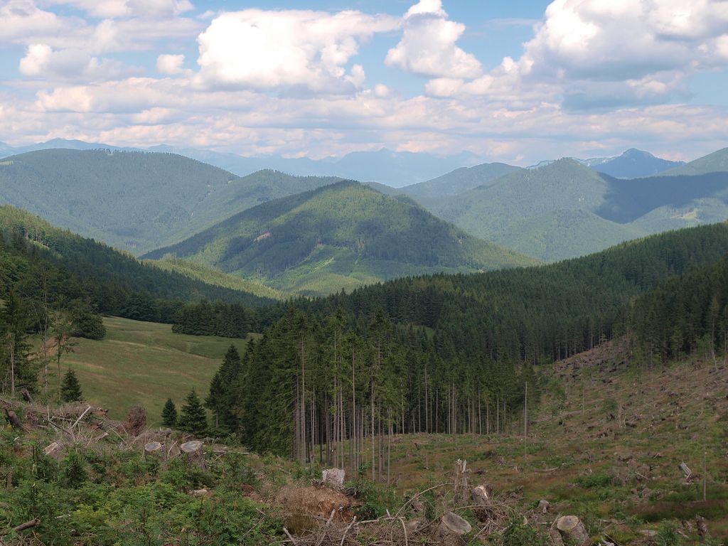 img00017.jpg