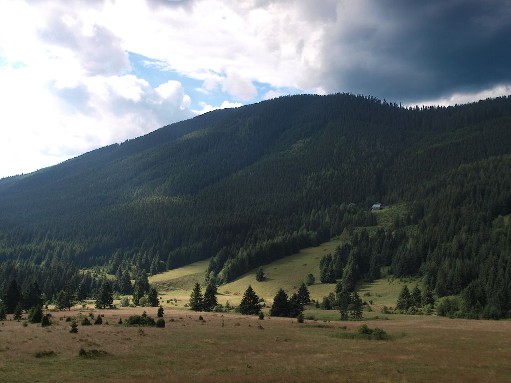 img00019.jpg