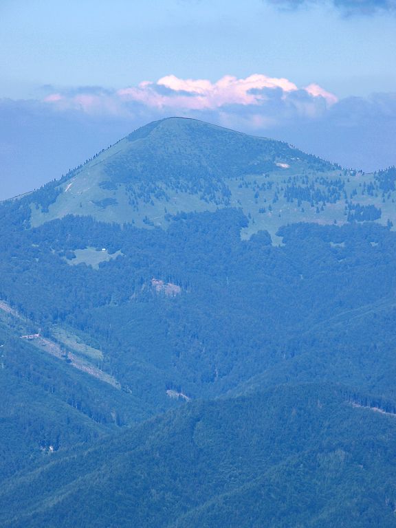 img00007.jpg