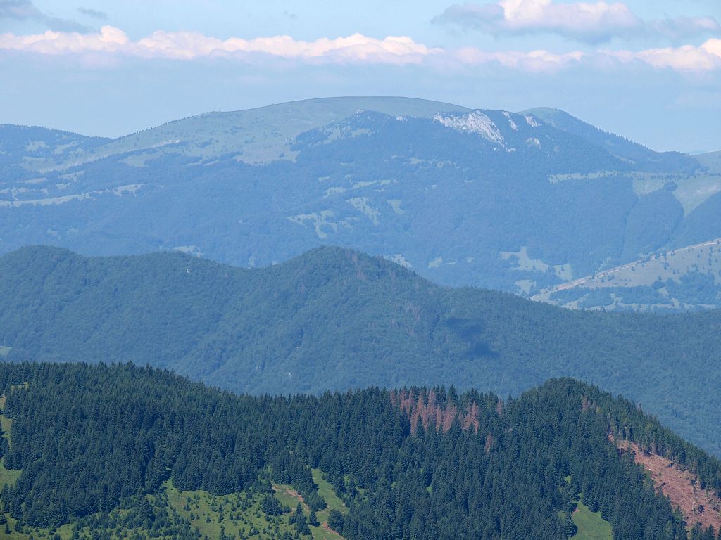 img00008.jpg