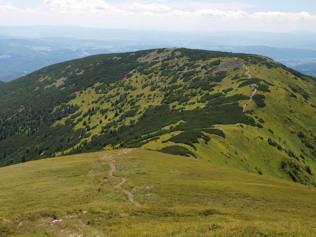 img00018.jpg
