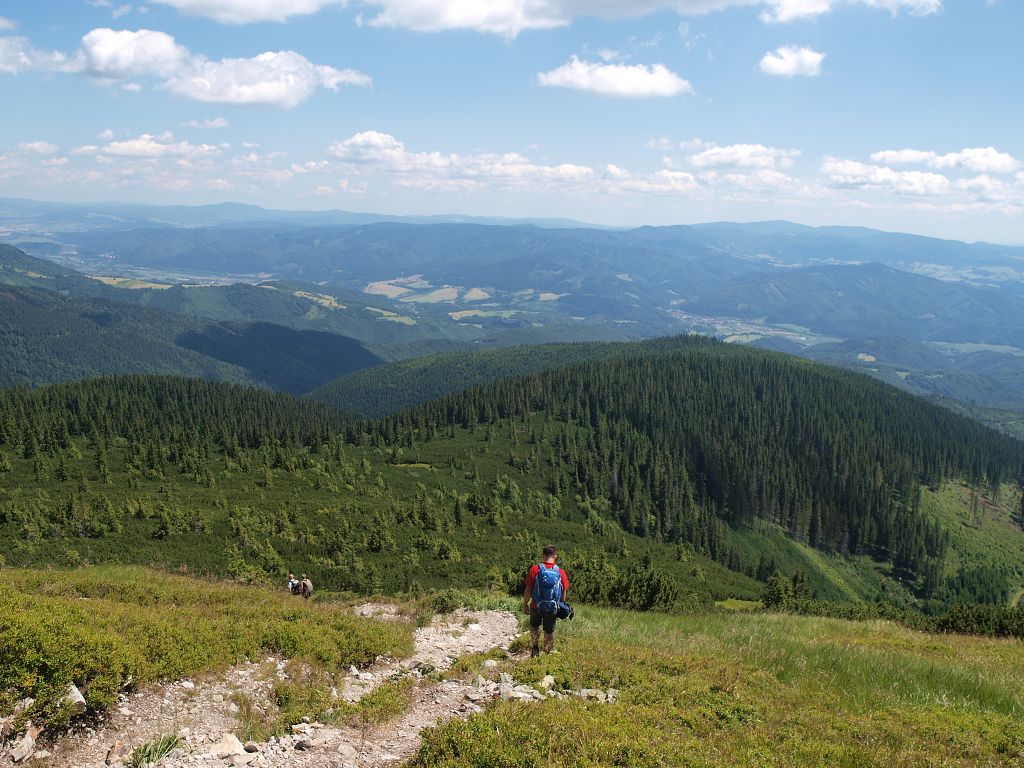 img00020.jpg