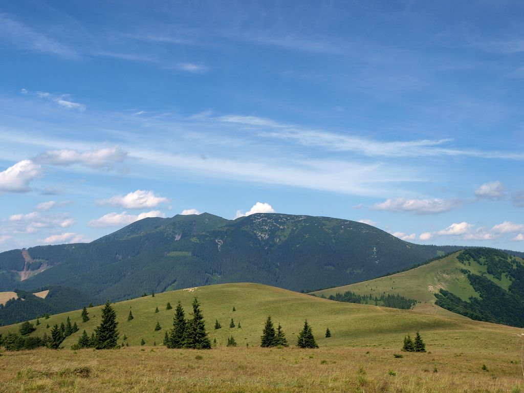 img00024.jpg