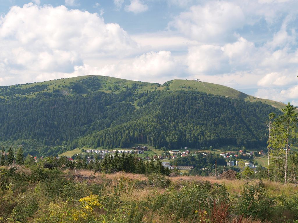 img00025.jpg