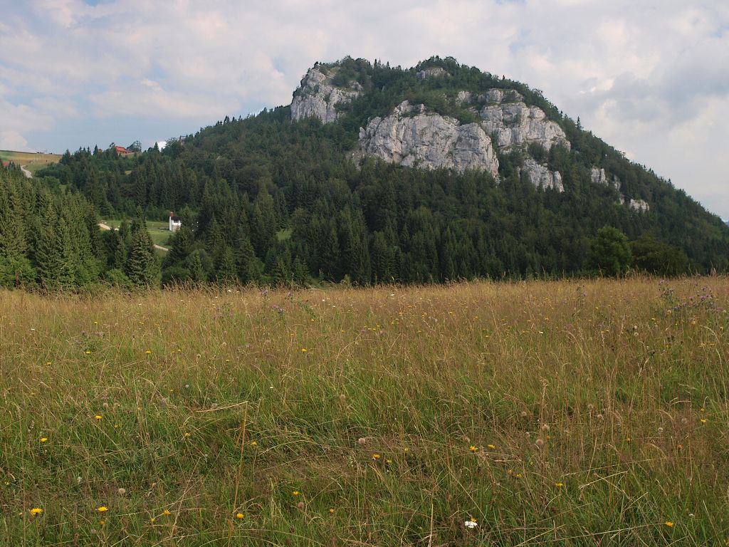 img00001.jpg