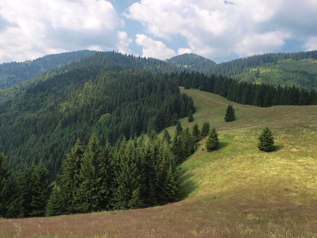 img00002.jpg