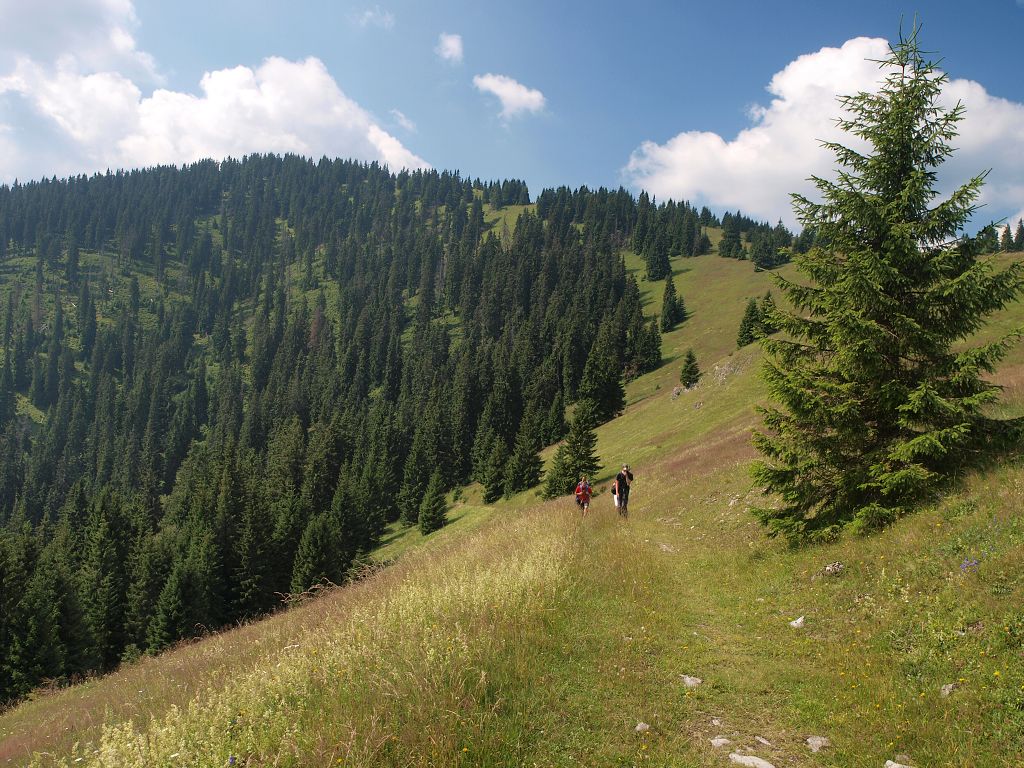 img00003.jpg