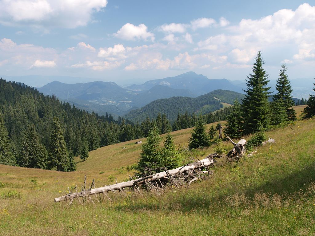 img00004.jpg