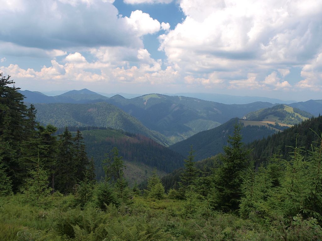 img00009.jpg