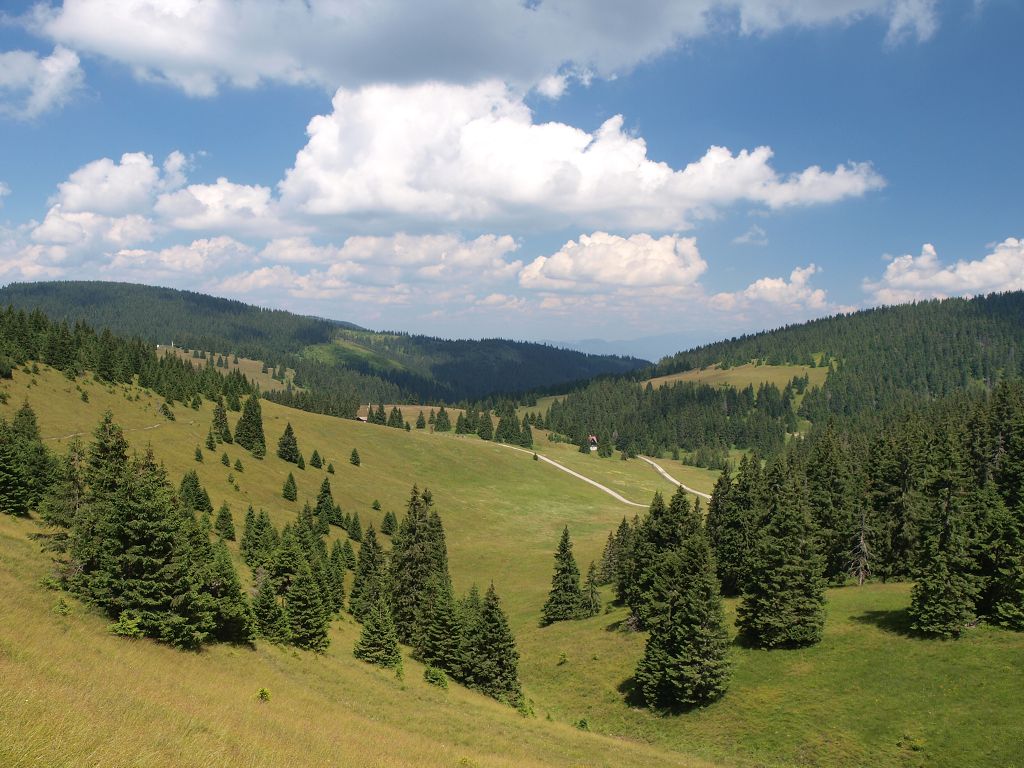 img00010.jpg