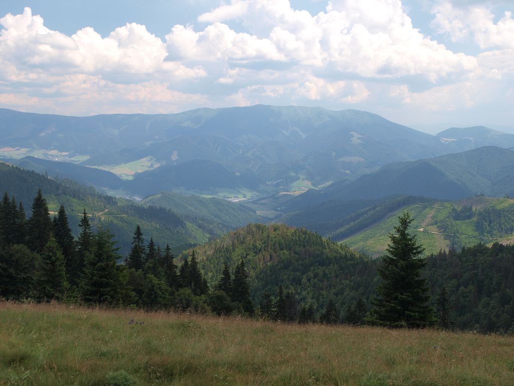 img00011.jpg