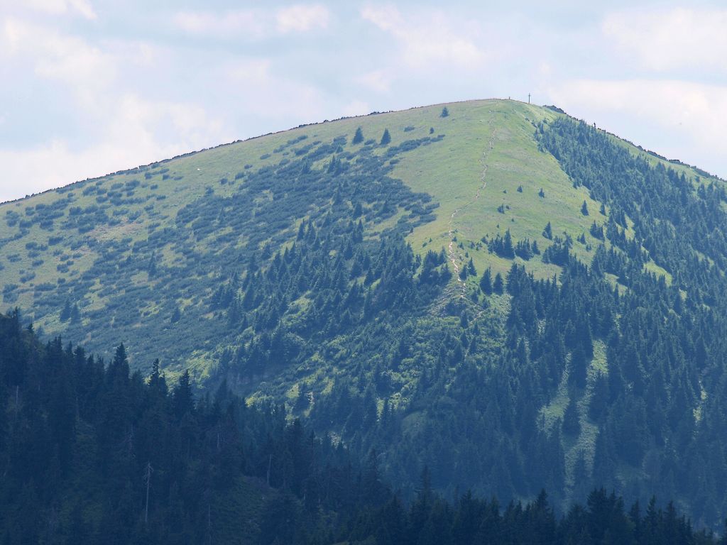 img00012.jpg