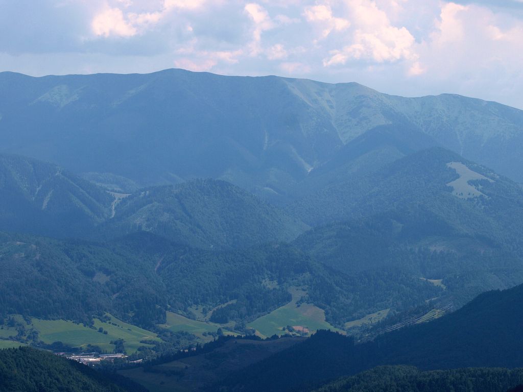 img00013.jpg