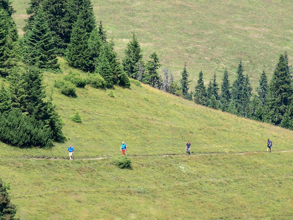 img00014.jpg