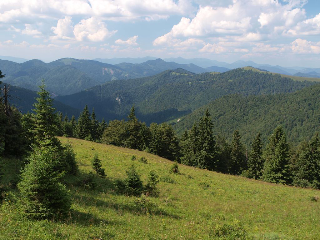 img00015.jpg