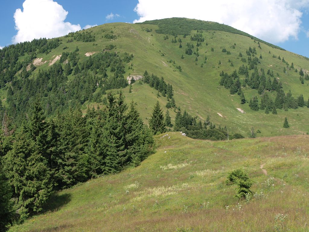 img00016.jpg