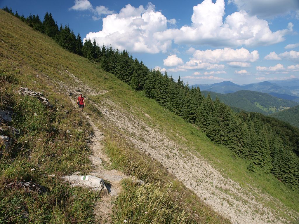 img00017.jpg