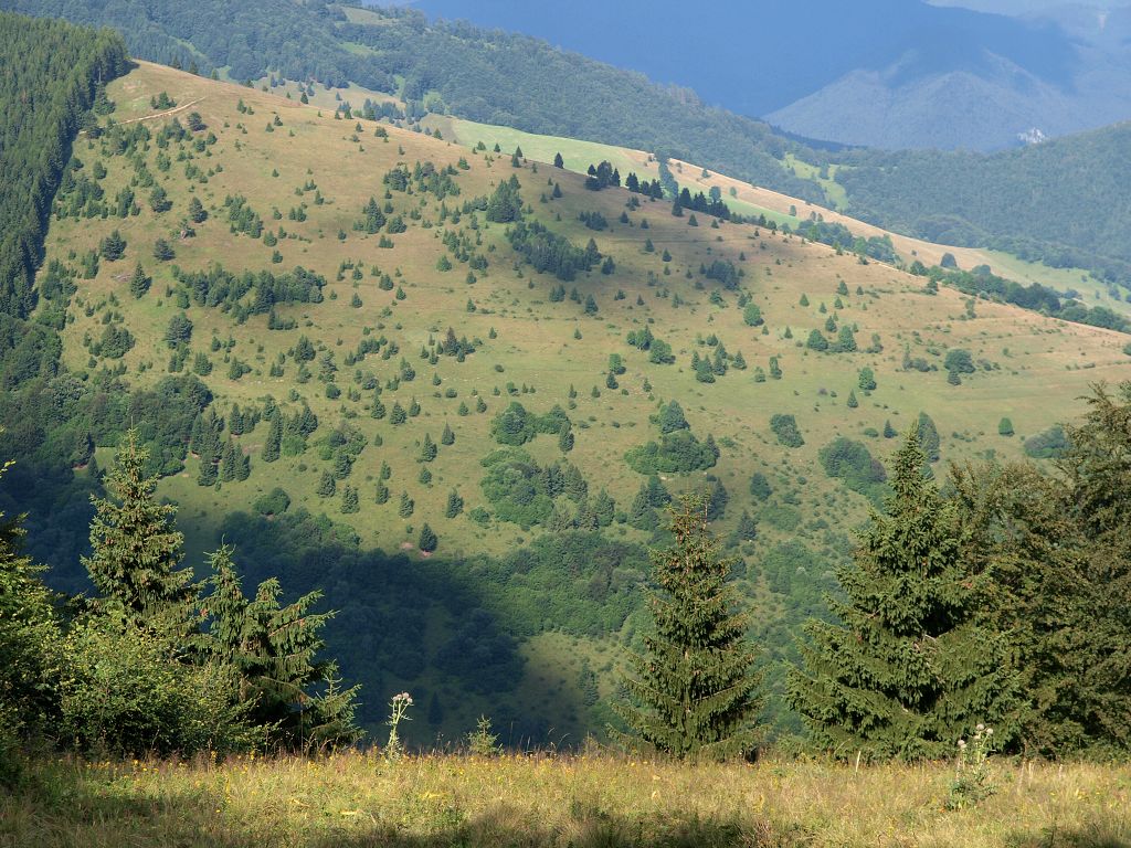 img00018.jpg