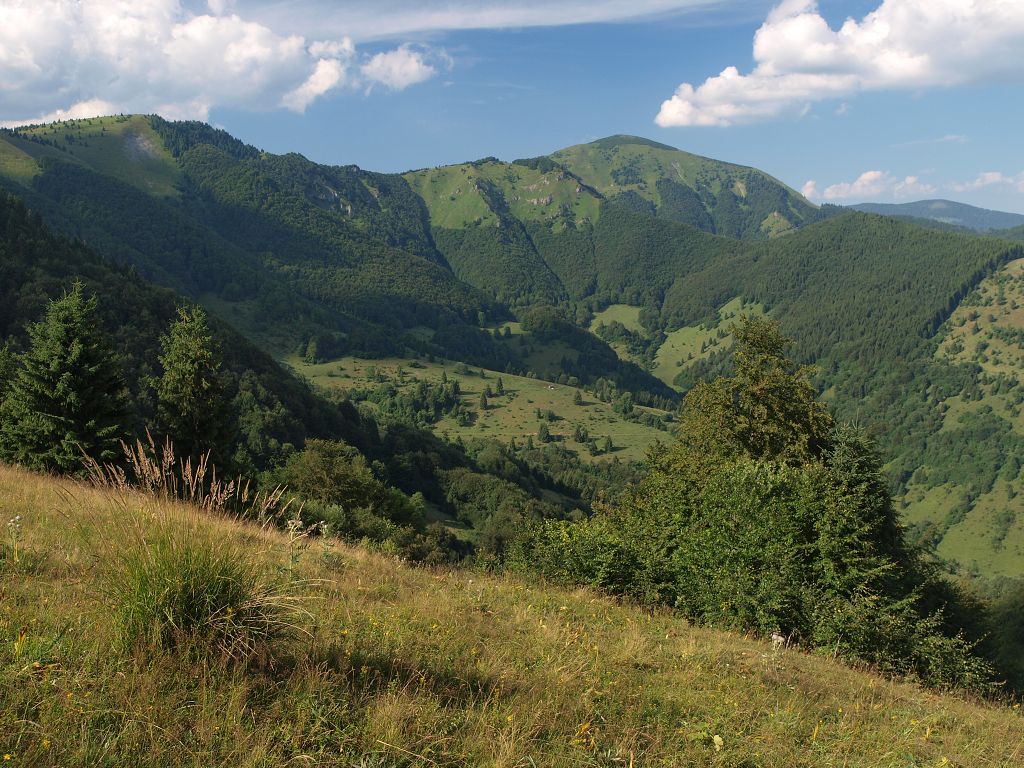img00019.jpg