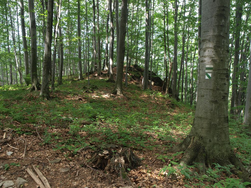 img00004.jpg