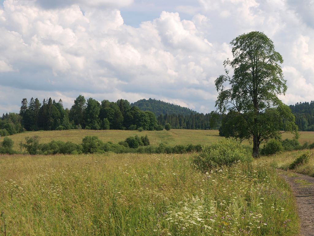 img00020.jpg
