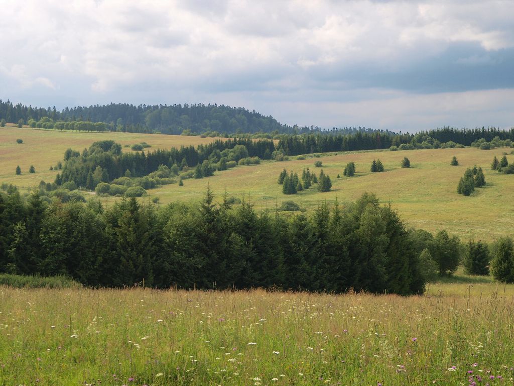 img00021.jpg