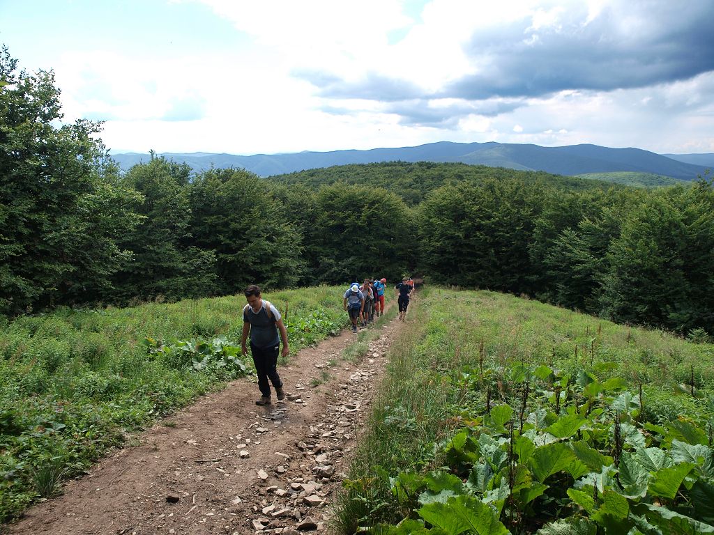 img00015.jpg