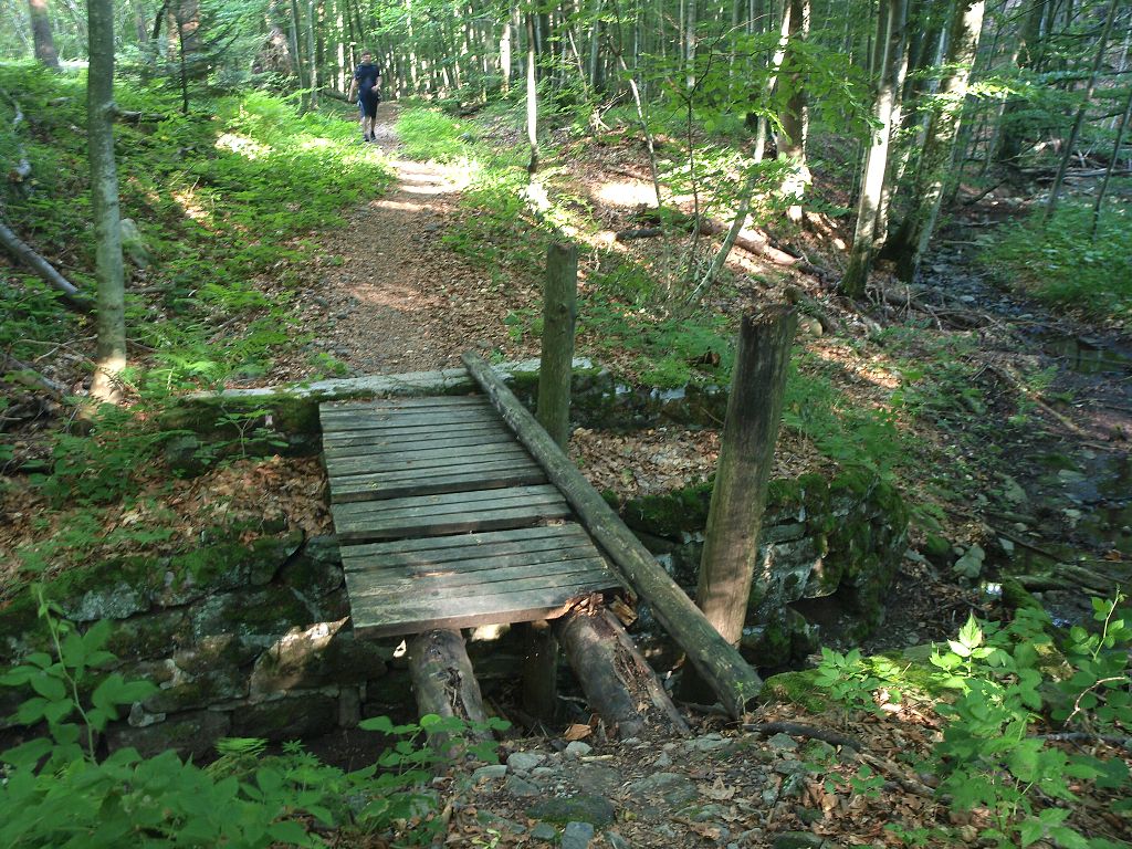 img00019.jpg