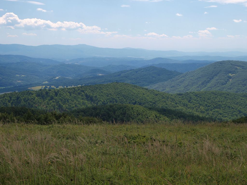 img00008.jpg