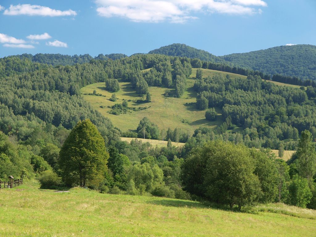 img00018.jpg