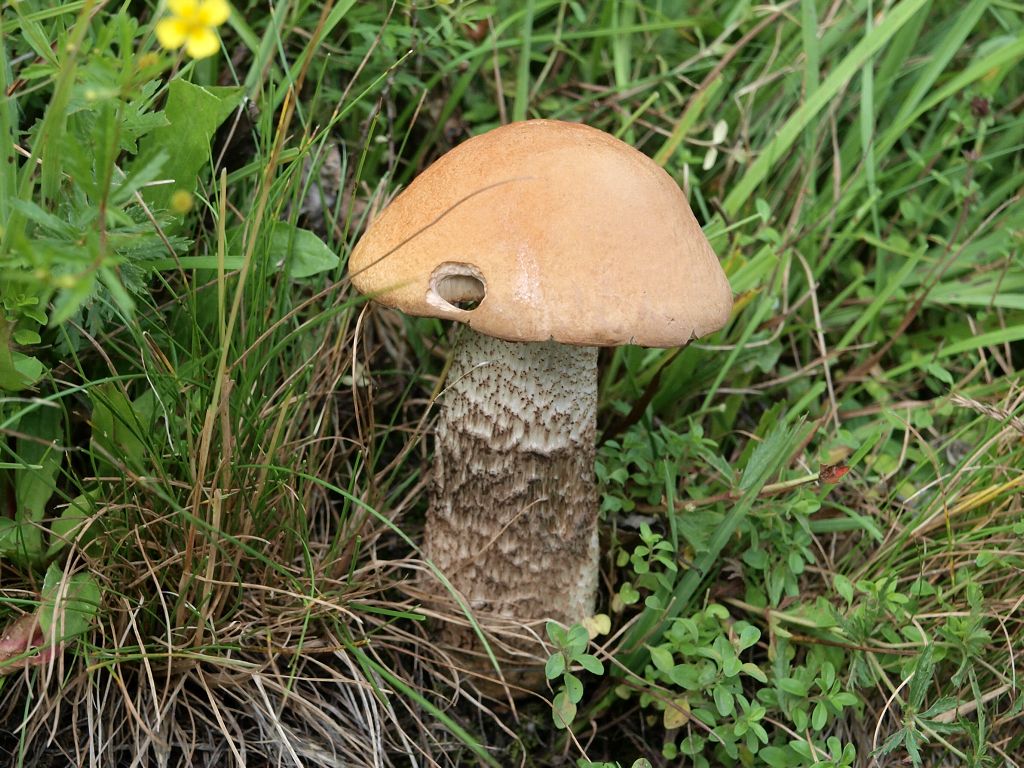 img00024.jpg