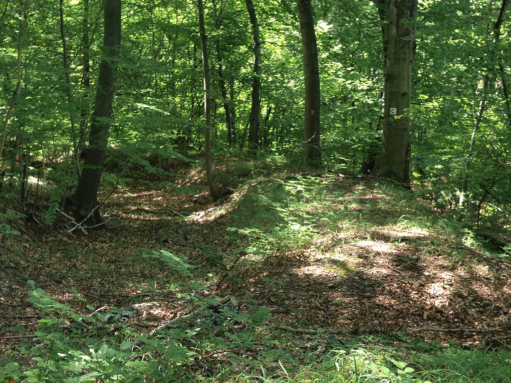img00007.jpg