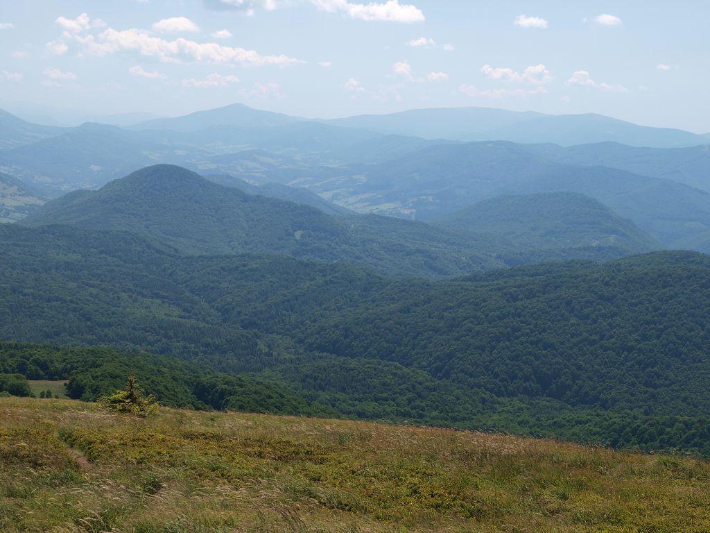 img00006.jpg