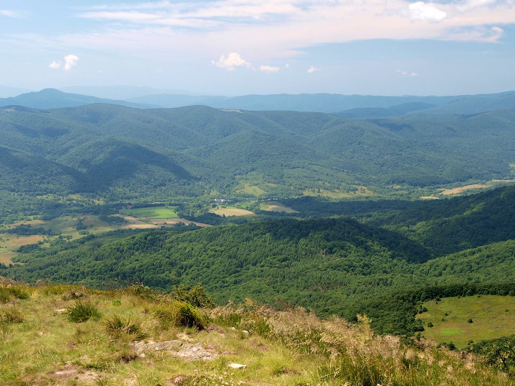 img00008.jpg