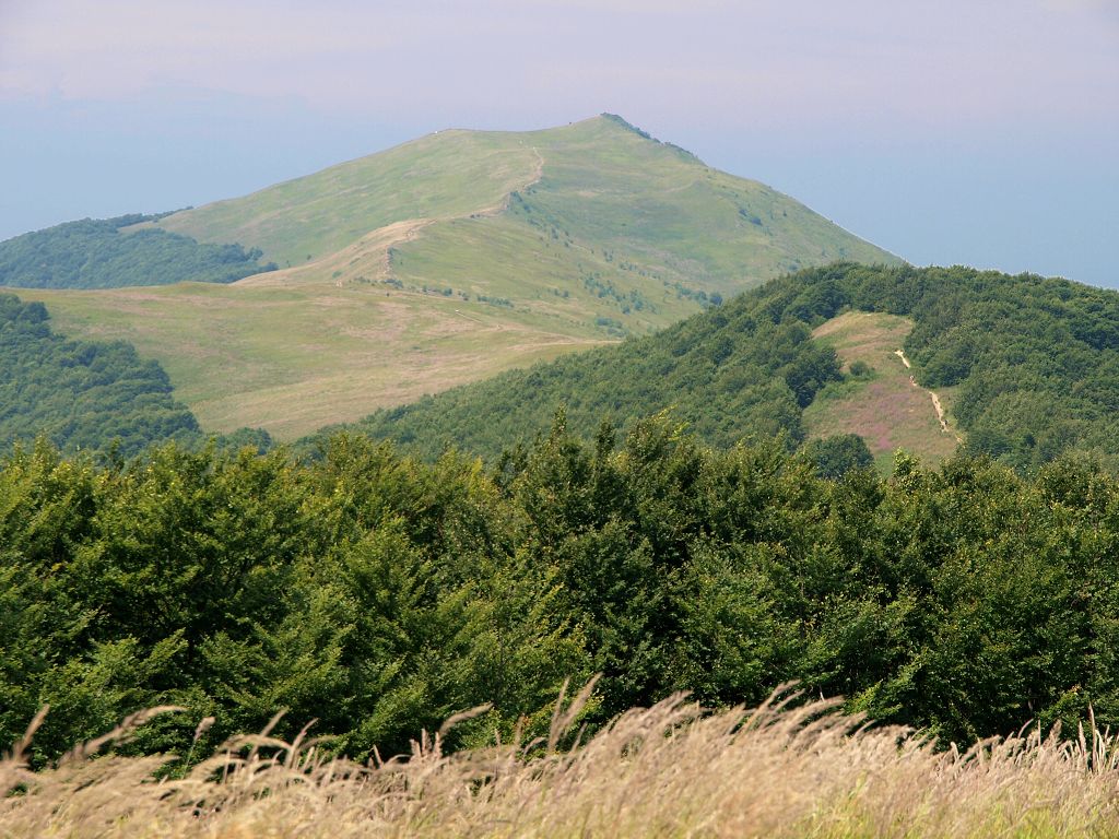 img00006.jpg