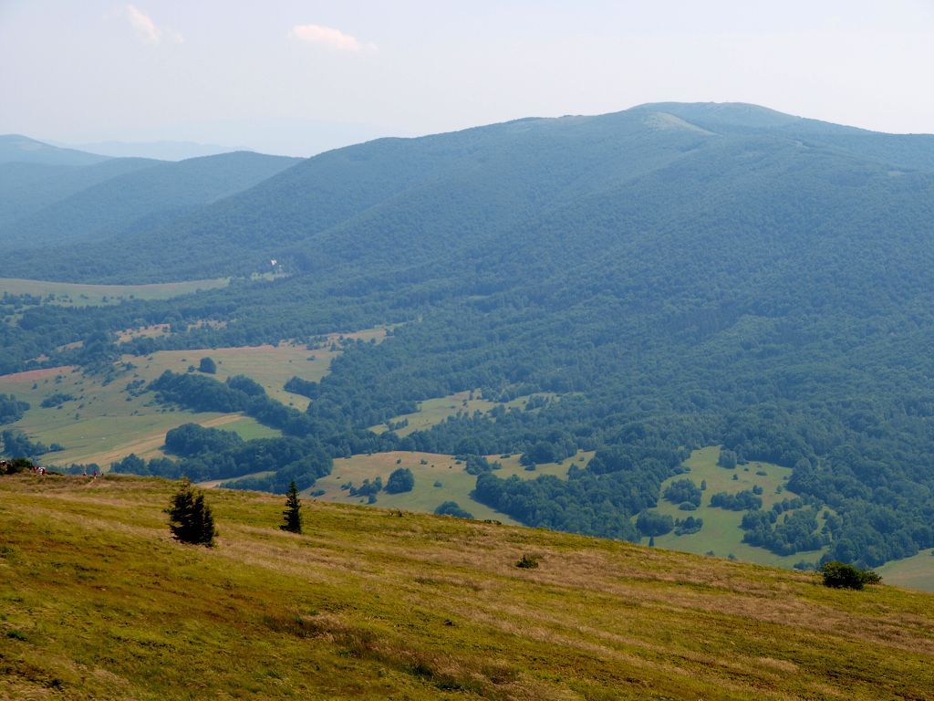 img00013.jpg